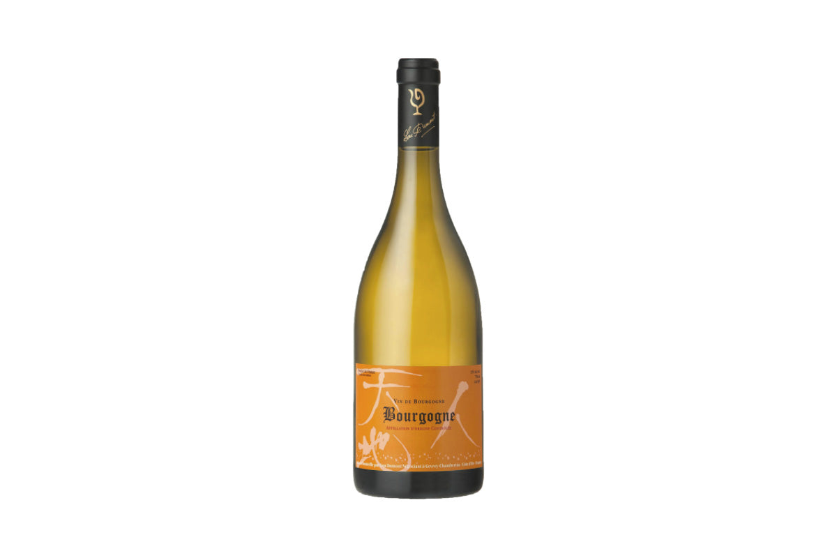 Lou Dumont Bourgogne Blanc 2023