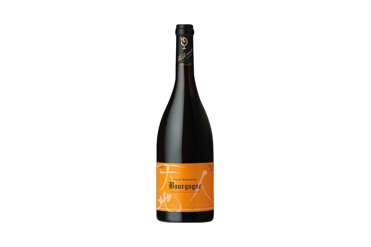 Lou Dumont Bourgogne Rouge 2023